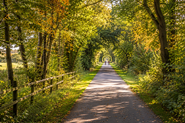 Family Cycling Adventures in Northamptonshire